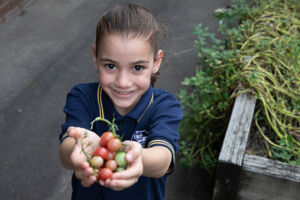 St Joan of Arc Catholic Primary School Haberfield